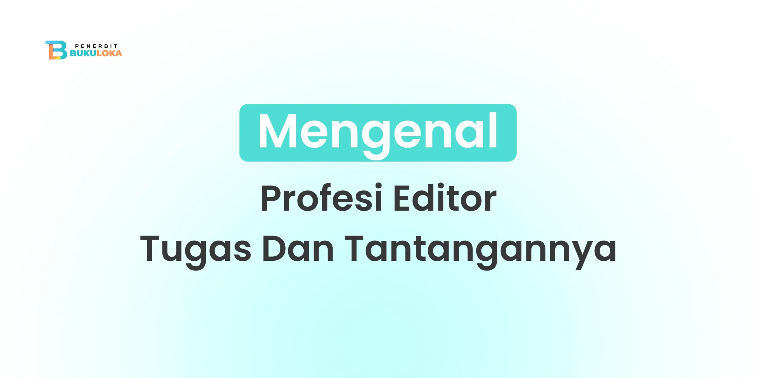 profesi editor